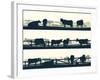 Horizontal Vector Banner Farm Fields with Fence and Farm Animals.-Vertyr-Framed Art Print