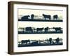 Horizontal Vector Banner Farm Fields with Fence and Farm Animals.-Vertyr-Framed Art Print