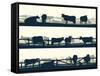 Horizontal Vector Banner Farm Fields with Fence and Farm Animals.-Vertyr-Framed Stretched Canvas