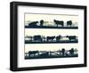 Horizontal Vector Banner Farm Fields with Fence and Farm Animals.-Vertyr-Framed Art Print