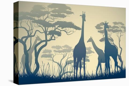 Horizontal Vector Illustration of Wild Giraffes in African Savanna with Trees.-Vertyr-Stretched Canvas