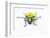 Horn Beetle Celosterna Pollinosa-Darrell Gulin-Framed Photographic Print