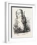 Horn of Deer Found in a Beech Tree in Canada West-null-Framed Giclee Print