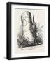 Horn of Deer Found in a Beech Tree in Canada West-null-Framed Giclee Print