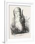 Horn of Deer Found in a Beech Tree in Canada West-null-Framed Giclee Print