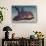 Horn Shark-Hal Beral-Stretched Canvas displayed on a wall