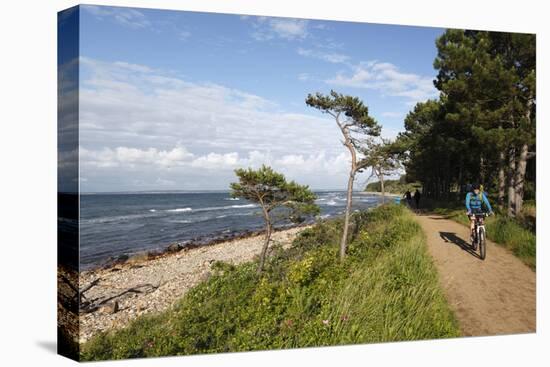 Hornbaek Beach, Hornbaek, Zealand, Denmark, Europe-Stuart Black-Stretched Canvas