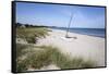 Hornbaek beach with white sand and sand dunes, Hornbaek, Kattegat Coast, Zealand, Denmark, Scandina-Stuart Black-Framed Stretched Canvas