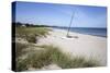 Hornbaek beach with white sand and sand dunes, Hornbaek, Kattegat Coast, Zealand, Denmark, Scandina-Stuart Black-Stretched Canvas