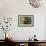 Hornbill-Rabi Khan-Framed Premium Giclee Print displayed on a wall