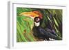 Hornbill-Rabi Khan-Framed Premium Giclee Print