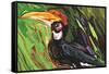 Hornbill-Rabi Khan-Framed Stretched Canvas