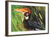 Hornbill-Rabi Khan-Framed Art Print