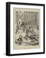 Hornbills at the Zoological Gardens-null-Framed Giclee Print