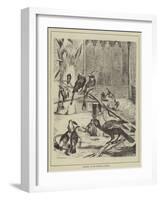 Hornbills at the Zoological Gardens-null-Framed Giclee Print