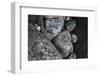 Hornblende granite rocks, California.-Zandria Muench Beraldo-Framed Photographic Print