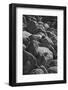 Hornblende granite rocks, California.-Zandria Muench Beraldo-Framed Photographic Print