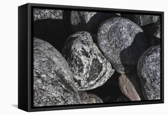 Hornblende granite rocks, California-Zandria Muench Beraldo-Framed Stretched Canvas