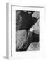 Hornblende granite rocks, California-Zandria Muench Beraldo-Framed Photographic Print