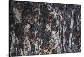 Hornblende granite rocks, California-Zandria Muench Beraldo-Stretched Canvas