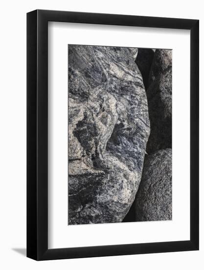 Hornblende granite rocks, California-Zandria Muench Beraldo-Framed Photographic Print