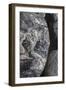 Hornblende granite rocks, California-Zandria Muench Beraldo-Framed Photographic Print