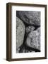 Hornblende granite rocks, California-Zandria Muench Beraldo-Framed Photographic Print