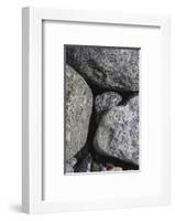 Hornblende granite rocks, California-Zandria Muench Beraldo-Framed Photographic Print