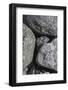 Hornblende granite rocks, California-Zandria Muench Beraldo-Framed Photographic Print