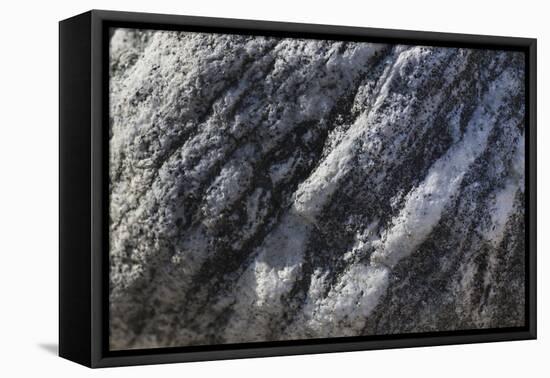 Hornblende granite rocks, California-Zandria Muench Beraldo-Framed Stretched Canvas