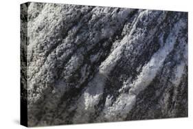 Hornblende granite rocks, California-Zandria Muench Beraldo-Stretched Canvas
