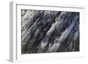 Hornblende granite rocks, California-Zandria Muench Beraldo-Framed Photographic Print