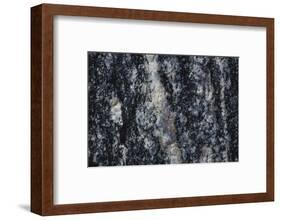 Hornblende granite rocks, California-Zandria Muench Beraldo-Framed Photographic Print