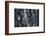 Hornblende granite rocks, California-Zandria Muench Beraldo-Framed Photographic Print