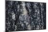 Hornblende granite rocks, California-Zandria Muench Beraldo-Mounted Photographic Print