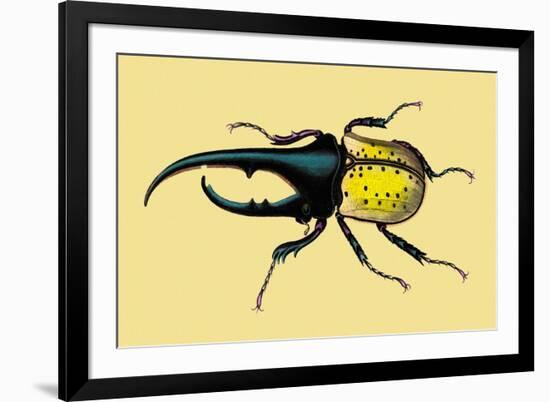 Horned Beetle-Sir William Jardine-Framed Premium Giclee Print
