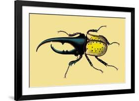 Horned Beetle-Sir William Jardine-Framed Premium Giclee Print