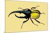 Horned Beetle-Sir William Jardine-Mounted Premium Giclee Print