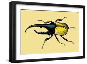 Horned Beetle-Sir William Jardine-Framed Art Print