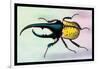 Horned Beetle-Sir William Jardine-Framed Art Print