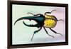 Horned Beetle-Sir William Jardine-Framed Art Print