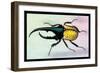 Horned Beetle-Sir William Jardine-Framed Art Print