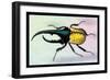 Horned Beetle-Sir William Jardine-Framed Art Print