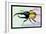 Horned Beetle-Sir William Jardine-Framed Art Print