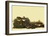 Horned Larks-John James Audubon-Framed Giclee Print