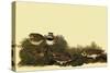 Horned Larks-John James Audubon-Stretched Canvas
