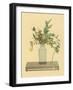 Horned Orange and Rose Used with a Vase Bearing the Signature of Chien-Lung to Form an Arrangement-Koun Ohara-Framed Art Print