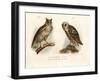 Horned Owl, 1864-null-Framed Giclee Print