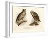 Horned Owl, 1864-null-Framed Giclee Print