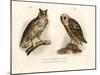 Horned Owl, 1864-null-Mounted Giclee Print